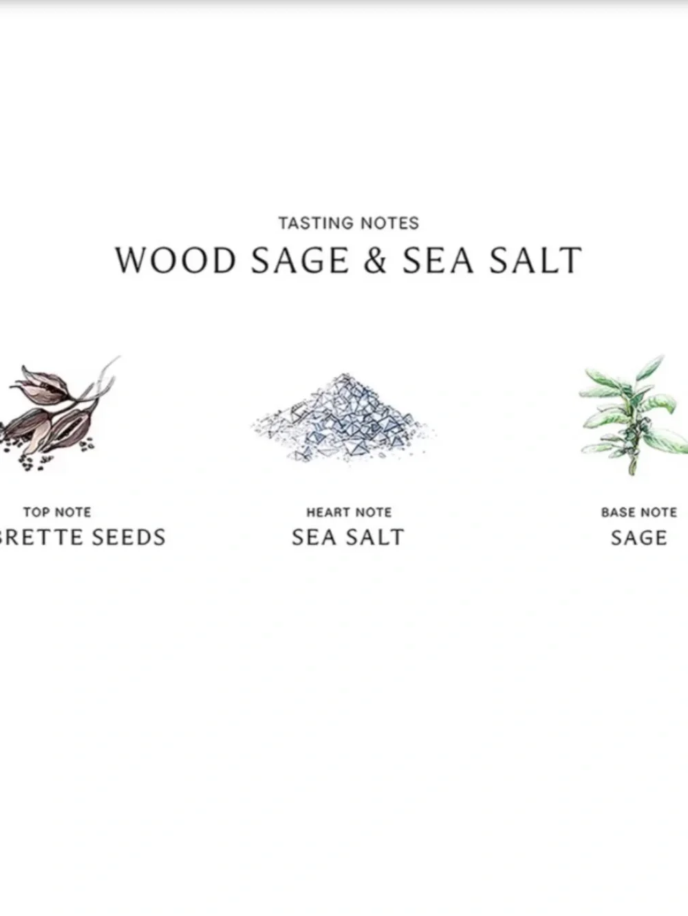 Jo Malone Wood Sage & Sea Salt Body & Hand Wash
